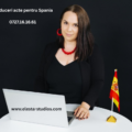 traduceri spaniolă rapide online